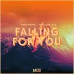 Falling For You-cover