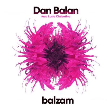 Balzam-cover