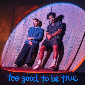 too good to be true-cover