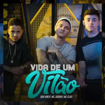 Vida de um Vilão-cover