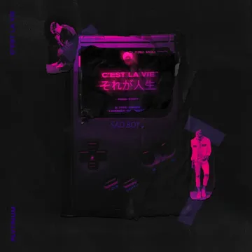 C'est la vie-cover