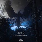 Seen(Thatsimo Remix)-cover