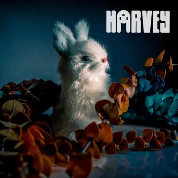 Animals-cover