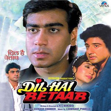Jab Hum Jawan Honge-cover