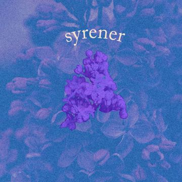 Syrener - Akustisk-cover