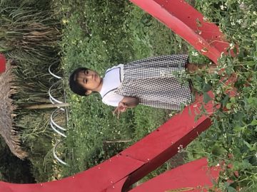  Con Út(bye nghe)-cover