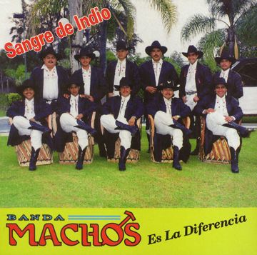 Un Indio Quiere Llorar-cover