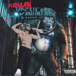 Demet Akalın-cover