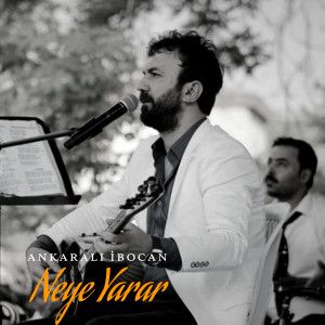 brahim-tatlses-neye-yarar-cover-image