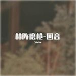 回音-cover
