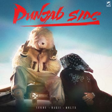 Punjab Side-cover