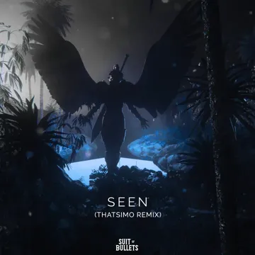 Seen (Thatsimo Remix)-cover