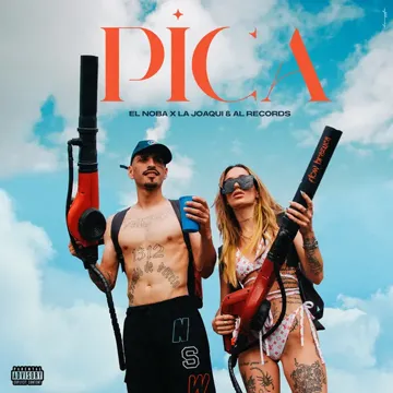 PICA-cover