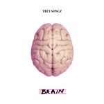 Brain-cover