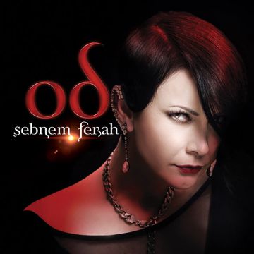 Bu Aşk Fazla Sana -cover