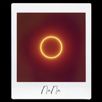 NaNa-cover