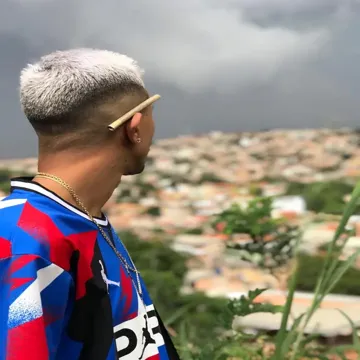 Os pitbull de raça-cover
