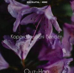 Kopardılar Seni Benden-cover