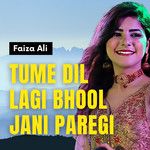 faiza-ali-bara-lajpal-ali-cover-image