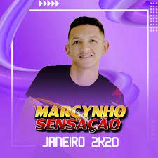 Troca de Macho-cover
