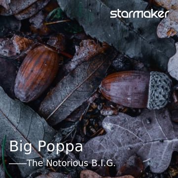 Big Poppa-cover