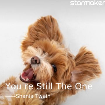You're Still The One-cover