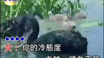 緣份比紙薄-cover