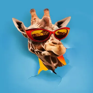 JAMBO-cover