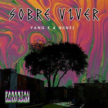 Luz-cover