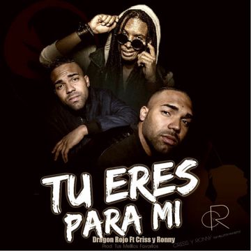 Tu Eres para Mí-cover