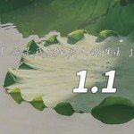 你是我拒绝别人的理由(1.1加速版)-cover