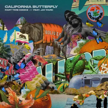 California Butterfly (Feat. 박재범)-cover