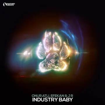 Industry Baby-cover
