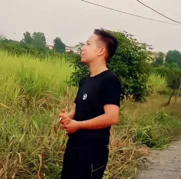 HOA TƯỜNG VI remix - nghe 