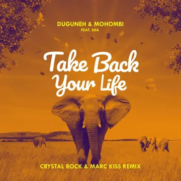 Take Back Your Life (Crystal Rock & Marc Kiss Remix) [feat. Sha]-cover