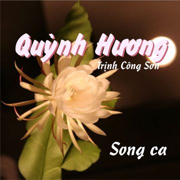 Quỳnh Hương - Song ca - Karaoke-cover
