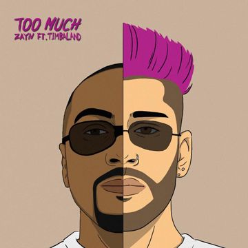 Too Much-cover