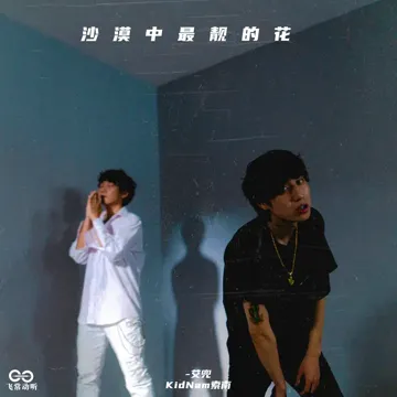 沙漠中最靓的花-cover