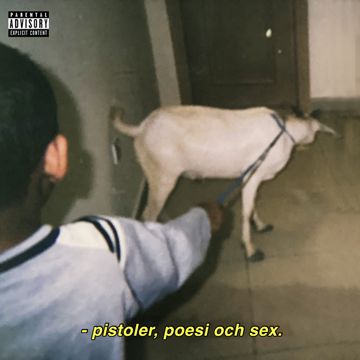 Har Dig-cover