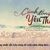 Cánh Đồng Yêu Thương-Tone Nữ