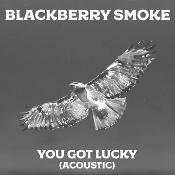 You Got Lucky (Acoustic Version)