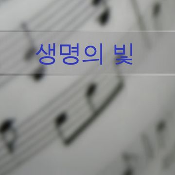 토요일은 밤이 좋아