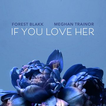 If You Love Her - feat. Meghan Trainor-cover