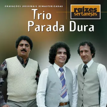 Fuscão Preto-cover