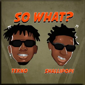 So What?-cover