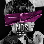 ไร้เดียงสา(NDS)-cover