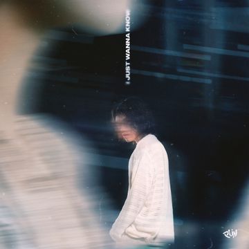 I Just Wanna Know-cover