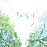 같이 걷기-cover