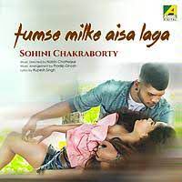 Short Tumse Milke Aisa Laga