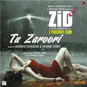Tu Zaroori Sa Hai-cover